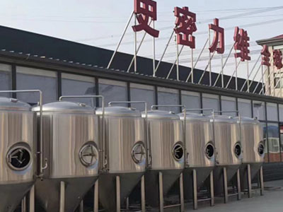 定安精酿啤酒设备厂—市场规模与跨界新需求